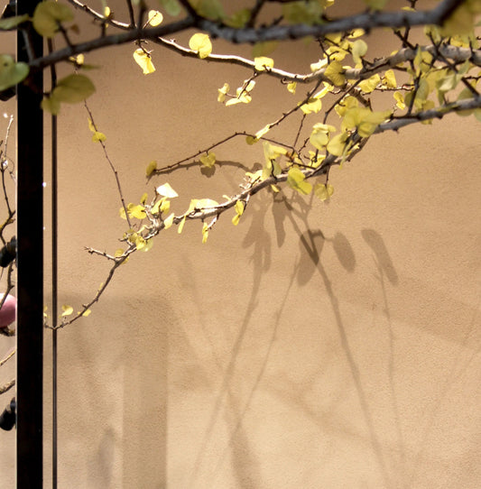 Heindorf Jewellery Showroom